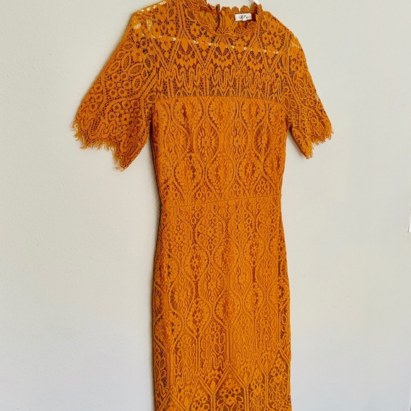 ☀️Roxberi- Golden Lace Embroidered Dress VTG Style - Picture 10 of 12
